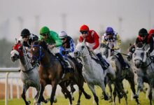 نخبة الخيول تتنافس في الجولة الختامية للتاج الثلاثي على مضمار أبوظبي