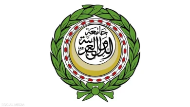 أبو الغيط يدين الإعتداءات الإيرانية على الإمارات والكويت وقطر ويؤكد التضامن مع البحرين بمواجهات المخططات التخريبية