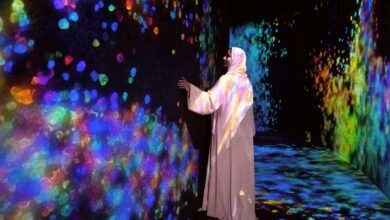 "تيم لاب فينومينا" منارة عالمية للفن والابتكار في أبوظبي