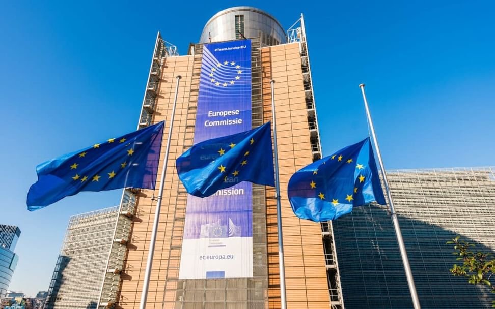 تنسيق أوروبي للتعامل مع تفشي فيروس "هانتا" 1 تنسيق أوروبي للتعامل مع تفشي فيروس "هانتا"