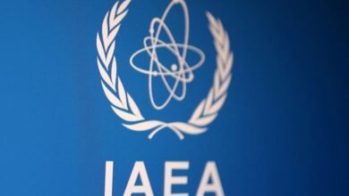 الوكالة الدولية للطاقة الذرية تشيد بتعاون الإمارات معتبرة محاولات استهداف محطة "براكة" بمثابة تهديد للسلامة النووية