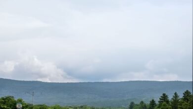 صندوق أبوظبي للتنمية يرصد تقدم مشاريع تنموية إستراتيجية في إفريقيا 2 صندوق أبوظبي للتنمية يرصد تقدم مشاريع تنموية إستراتيجية في إفريقيا