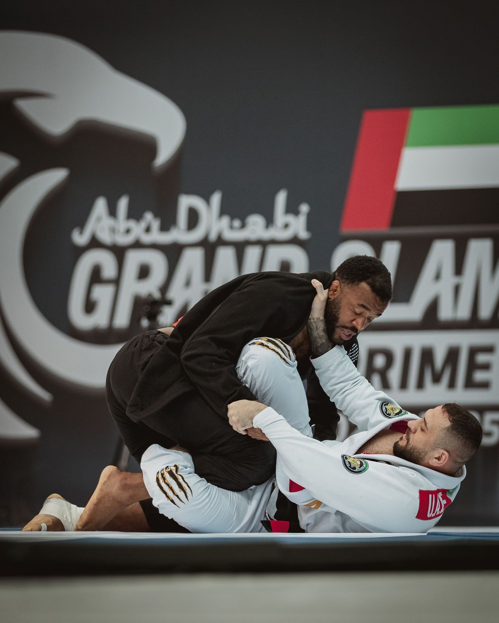 اكتمال الاستعدادات لانطلاق بطولة أبوظبي جراند سلام للجوجيتسو بمشاركة 75 دولة 1 اكتمال الاستعدادات لانطلاق بطولة أبوظبي جراند سلام للجوجيتسو بمشاركة 75 دولة