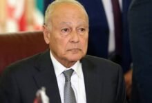 أبو الغيط يؤكد أهمية دور الصندوق العربي للمعونة الفنية للدول الإفريقية 51 أبو الغيط يؤكد أهمية دور الصندوق العربي للمعونة الفنية للدول الإفريقية