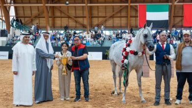 ختام مميز للجولة الثالثة من كأس الإمارات العالمي للخيول العربية بالمغرب