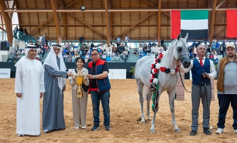 ختام مميز للجولة الثالثة من كأس الإمارات العالمي للخيول العربية بالمغرب 3 ختام مميز للجولة الثالثة من كأس الإمارات العالمي للخيول العربية بالمغرب