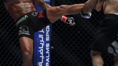 أبطال دوليون: “محاربي الإمارات” منصة لصناعة النجوم واكتشاف المواهب 4 أبطال دوليون: “محاربي الإمارات” منصة لصناعة النجوم واكتشاف المواهب
