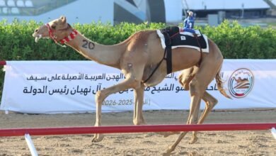 "زعفرانة" تحصد أول أشوط الإيذاع في "ختامي الوثبة"