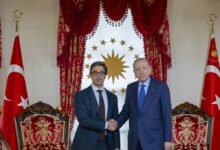 منصور بن زايد والرئيس التركي يبحثان علاقات التعاون بين البلدين