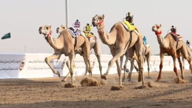 ختامي الوثبة 2026