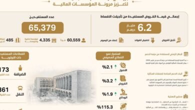المركزي: 6.2 مليار درهم قيمة التسهيلات المستفيدة من حزمة الدعم لتعزيز مرونة المؤسسات المالية