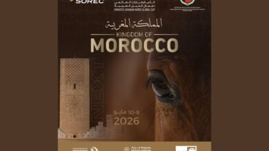 المغرب تستضيف الجولة الثالثة لكأس الإمارات العالمي لجمال الخيل العربية بمشاركة 179 خيلاً