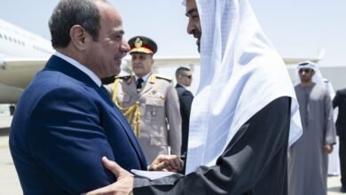 رئيس الدولة والرئيس المصري يبحثان العلاقات الأخوية والتطورات الإقليمية