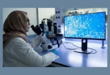 الإمارات تعزز ريادتها في الطب التجديدي والعلاجات الجذعية