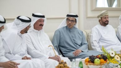 منصور بن زايد