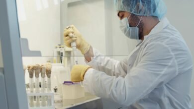 علماء روس يطورون محفزات جديدة لإنتاج الأدوية والوقود بكفاءة تتجاوز 90% 5 علماء