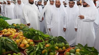 خورفكان