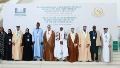 نائب رئيس "الوطني الاتحادي" يلتقي رئيس برلمان النيجر خلال مؤتمر منظمة التعاون الإسلامي