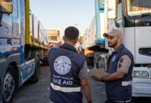 الفارس الشهم 3