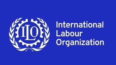 138 مليون طفل حول العالم محرومون من حقوقهم بسبب العمل 2 العمل