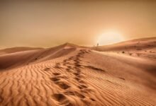 "الإمارات للفلك": غدا موعد الانقلاب الشمسي الصيفي وبداية فصل الصيف فلكياً