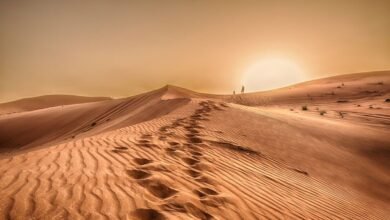 "الإمارات للفلك": غدا موعد الانقلاب الشمسي الصيفي وبداية فصل الصيف فلكياً 4 "الإمارات للفلك": غدا موعد الانقلاب الشمسي الصيفي وبداية فصل الصيف فلكياً