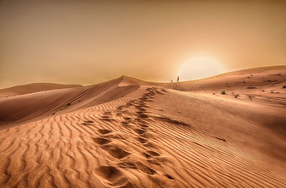 "الإمارات للفلك": غدا موعد الانقلاب الشمسي الصيفي وبداية فصل الصيف فلكياً 1 "الإمارات للفلك": غدا موعد الانقلاب الشمسي الصيفي وبداية فصل الصيف فلكياً