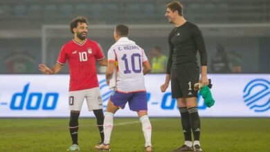حارس بلجيكا: مصر ستخوض مباراة دفاعية أمامنا 3 حارس بلجيكا: مصر ستخوض مباراة دفاعية أمامنا