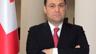 التعاون بين الإمارات وجورجيا يفتح آفاقا لتعزيز الشراكة الاستراتيجية