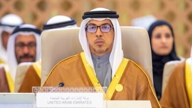 الشيخ منصور بن زايد آل نهيان