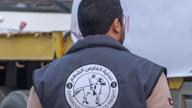 الفارس الشهم 3