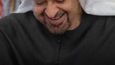 الإمارات ثابتة بحكمة قائدها وإرادة شعبها