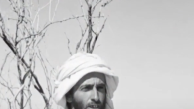 كتاب "كنز الجيل".. يجمع بين الشعر والتراث وذاكرة الوطن 1 كنز الجيل