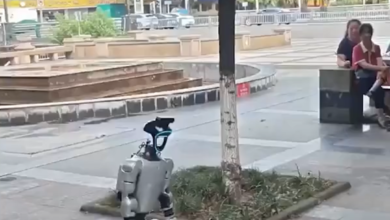 روبوت يتسول ويطلب التبرعات على أحد الأرصفة في الصين 6 روبوت