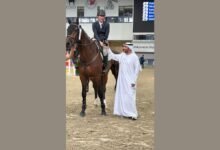 منافسات قوية بقفز الحواجز في الأسبوع الصيفي السادس بنادي الشارقة للفروسية