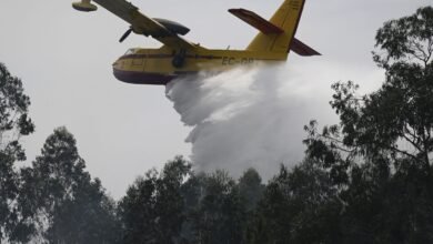 1300 رجل إطفاء يكافحون أكبر حريقين في البرتغال 2 رجل إطفاء