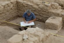 أم القيوين