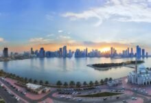 المستثمر الإماراتي