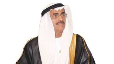 رؤية تنفيذية صنعت توسعات الموانئ الإماراتية 1 رؤية تنفيذية صنعت توسعات الموانئ الإماراتية