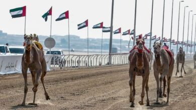 الاتحادات الرياضية في الإمارات.. إستراتيجيات طموحة لتعزيز الإنجازات (10) 6 الاتحادات الرياضية