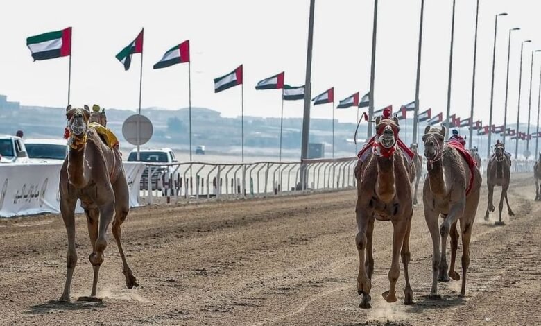 الاتحادات الرياضية في الإمارات.. إستراتيجيات طموحة لتعزيز الإنجازات (10) 11 الاتحادات الرياضية