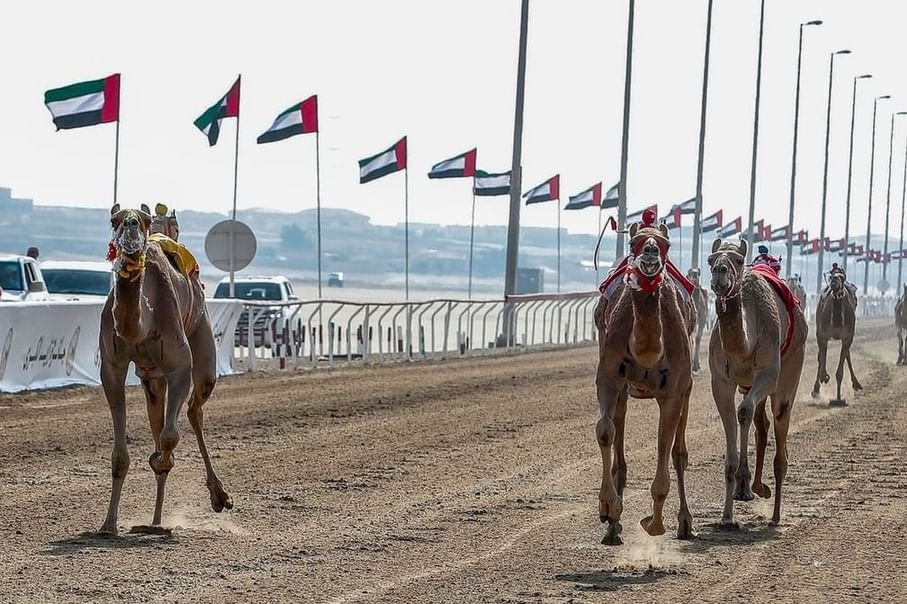 الاتحادات الرياضية في الإمارات.. إستراتيجيات طموحة لتعزيز الإنجازات (10) 1 الاتحادات الرياضية