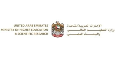 التعليم العالي