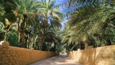 بلدية مدينة العين