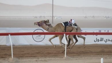"قزوين" تتصدر "الحول والزمول" في ختام تمهيدي العين 2 "قزوين" تتصدر "الحول والزمول" في ختام تمهيدي العين