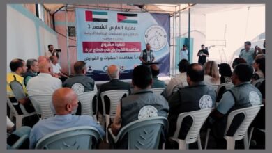 بالتعاون مع الأمم المتحدة.. "الفارس الشهم 3" تطلق مشروعا لمكافحة الآفات وحماية الصحة العامة في غزة 5 بالتعاون مع الأمم المتحدة.. "الفارس الشهم 3" تطلق مشروعا لمكافحة الآفات وحماية الصحة العامة في غزة