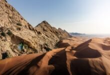 الشارقة تترجم إدراج الفاية على قائمة التراث العالمي إلى منظومة للبحث العلمي وصون التراث 19 الشارقة