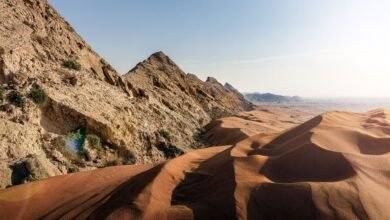 الشارقة تترجم إدراج الفاية على قائمة التراث العالمي إلى منظومة للبحث العلمي وصون التراث 7 الشارقة