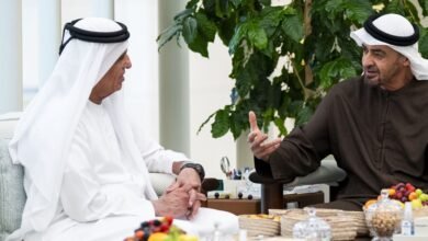 رئيس الدولة يستقبل حاكم رأس الخيمة