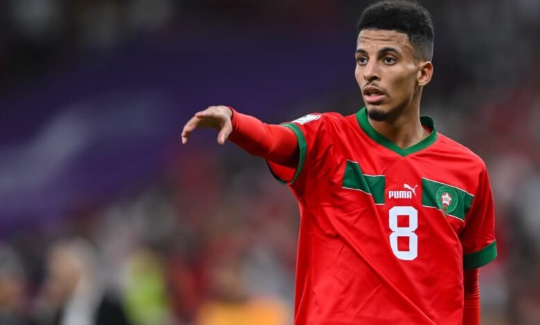 4 نجوم عرب يزينون قائمة أفضل الأفارقة في كأس العالم 8 4 نجوم عرب يزينون قائمة أفضل الأفارقة في كأس العالم